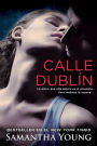 Calle Dublín (On Dublin Street)
