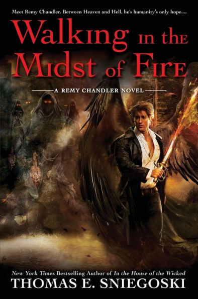 Walking in the Midst of Fire (Remy Chandler Series #6)