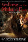 Walking in the Midst of Fire (Remy Chandler Series #6)