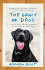 The Grace of Dogs: A Boy, a Black Lab, and a Father's Search for the Canine Soul