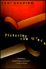 Picturing the Wreck