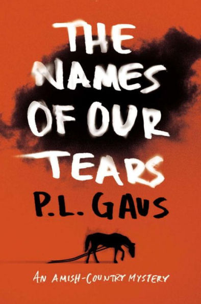 The Names of Our Tears (Amish-Country Mystery Series #8)