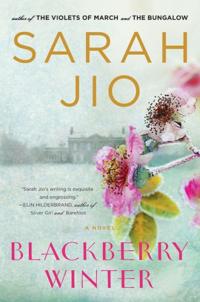 Blackberry Winter: A Novel