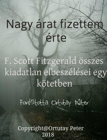 Nagy árat fizettem érte: F. Scott Fitzgerald összes kiadatlan elbeszélései egy kötetben