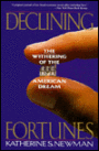 Declining Fortunes: The Withering Of The American Dream