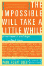 The Impossible Will Take a Little While: A Citizen's Guide to Hope in a Time of Fear