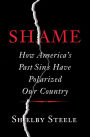 Shame: How America's Past Sins Have Polarized Our Country