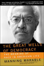 The Great Wells Of Democracy: The Meaning Of Race In American Life