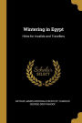 Wintering in Egypt: Hints for Invalids and Travellers