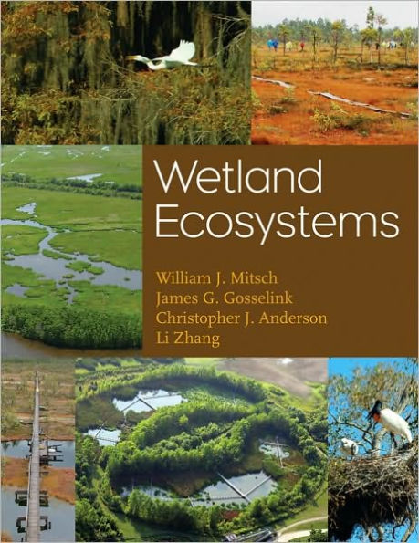 Wetland Ecosystems / Edition 1