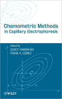 Chemometric Methods in Capillary Electrophoresis / Edition 1