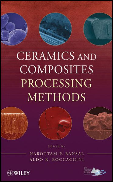 Ceramics and Composites Processing Methods / Edition 1