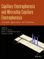 Capillary Electrophoresis and Microchip Capillary Electrophoresis: Principles, Applications, and Limitations / Edition 1