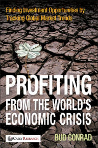 Profiting from the World's Economic Crisis: Finding Investment Opportunities by Tracking Global Market Trends