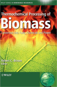 Thermochemical Processing of Biomass: Conversion into Fuels, Chemicals and Power / Edition 1