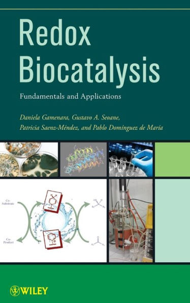 Redox Biocatalysis: Fundamentals and Applications / Edition 1