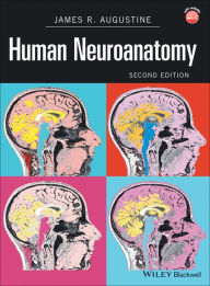 Title: Human Neuroanatomy / Edition 2, Author: James R. Augustine
