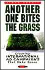Another One Bites the Grass: Making Sense of International Advertising