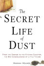 Secret Life of Dust: From the Cosmos to the Kitchen Counter, the Big Consequences of Little Things