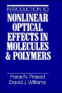 Introduction to Nonlinear Optical Effects in Molecules and Polymers / Edition 1
