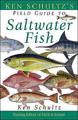 Florida Saltwater Species • Barracuda • Snapper • Shark • Tuna
