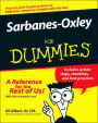 Sarbanes-Oxley For Dummies
