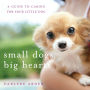 Small Dogs, Big Hearts: A Guide to Caring for Your Little Dog