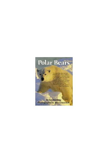 Polar Bears