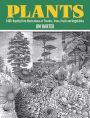 Plants: 2,400 Royalty-Free Illustrations of Flowers, Trees, Fruits and Vegetables