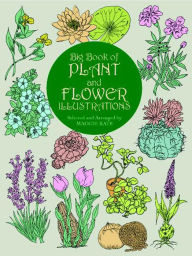 Title: Big Book of Plant and Flower Illustrations, Author: Maggie Kate