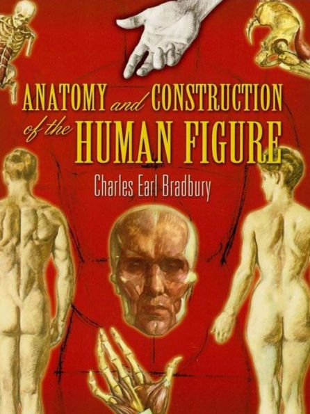 Anatomy and Construction of the Human Figure