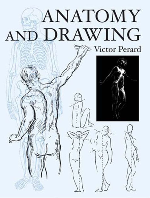 human anatomy drawing book