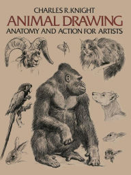 Title: Animal Drawing: Anatomy and Action for Artists, Author: Charles Knight