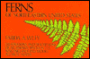 Ferns of the Northeastern United States