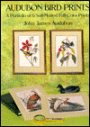 Audubon Bird Prints: A Portfolio of 6 Self-Matted Full Color Prints