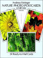 Nature Photo Cards in Full Color