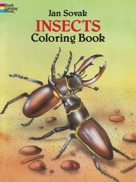 Insects Coloring Book