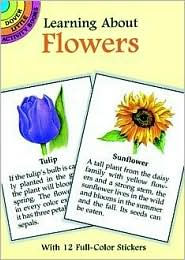 Learning about Flowers