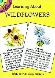 Learning about Wildflowers