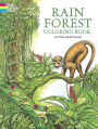 Rain Forest Coloring Book