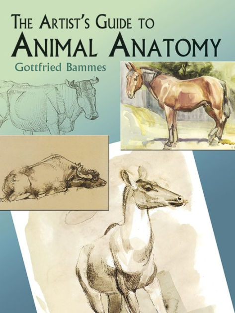 The Artists Guide To Animal Anatomy By Gottfried Bammes Paperback