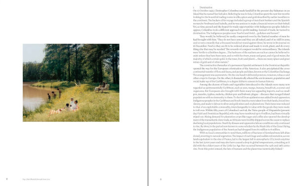 Black Earth Rising: Colonialism and Climate Change in Contemporary Art