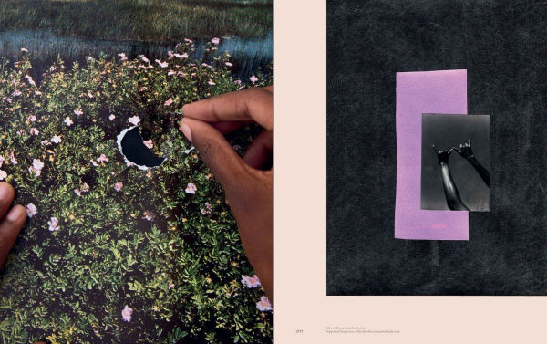 Black Earth Rising: Colonialism and Climate Change in Contemporary Art