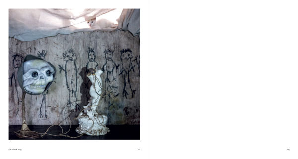 Roger Ballen: Spirits and Spaces