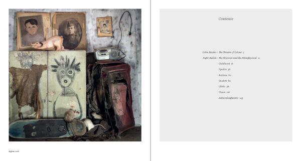 Roger Ballen: Spirits and Spaces