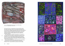 Alternative view 5 of Aboriginal Art