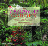 Tropical Garden