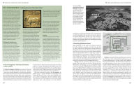 The Human Past: World Prehistory and the Development of Human Societies / Edition 3