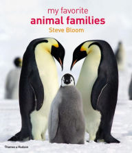 My Favorite Animal Families