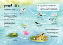 Alternative view 11 of A Field Guide to Spring: Play and Learn in Nature